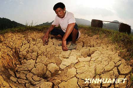 夏秋連旱致湖南百萬(wàn)人飲水困難(組圖)