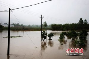 暴風雨突襲南方多省 至少40人遇難12人失蹤